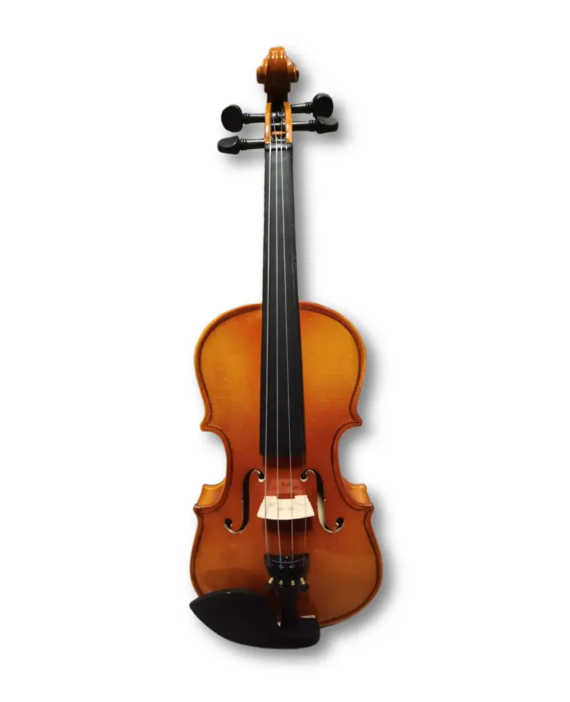 mozart violin electrico - Cómo se llama la música clasica con electrónica