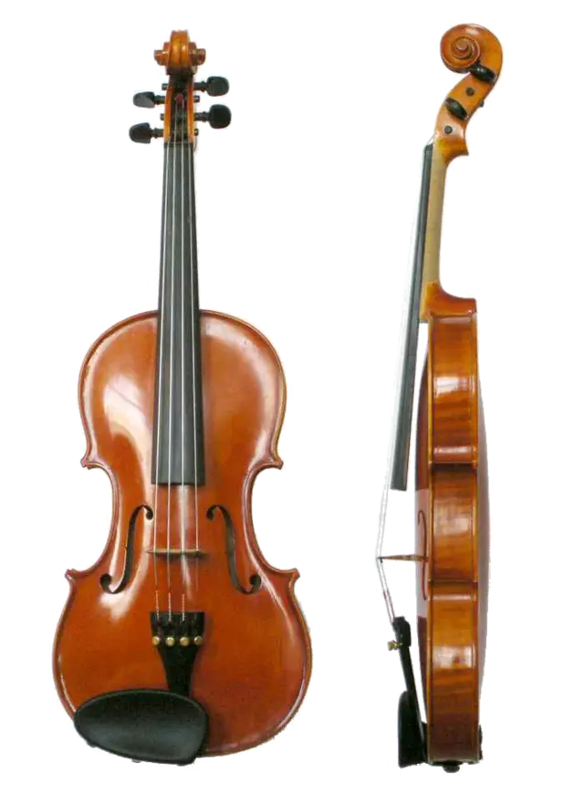 carateristicas de violines de antiguos - Cómo se llama un violín viejo