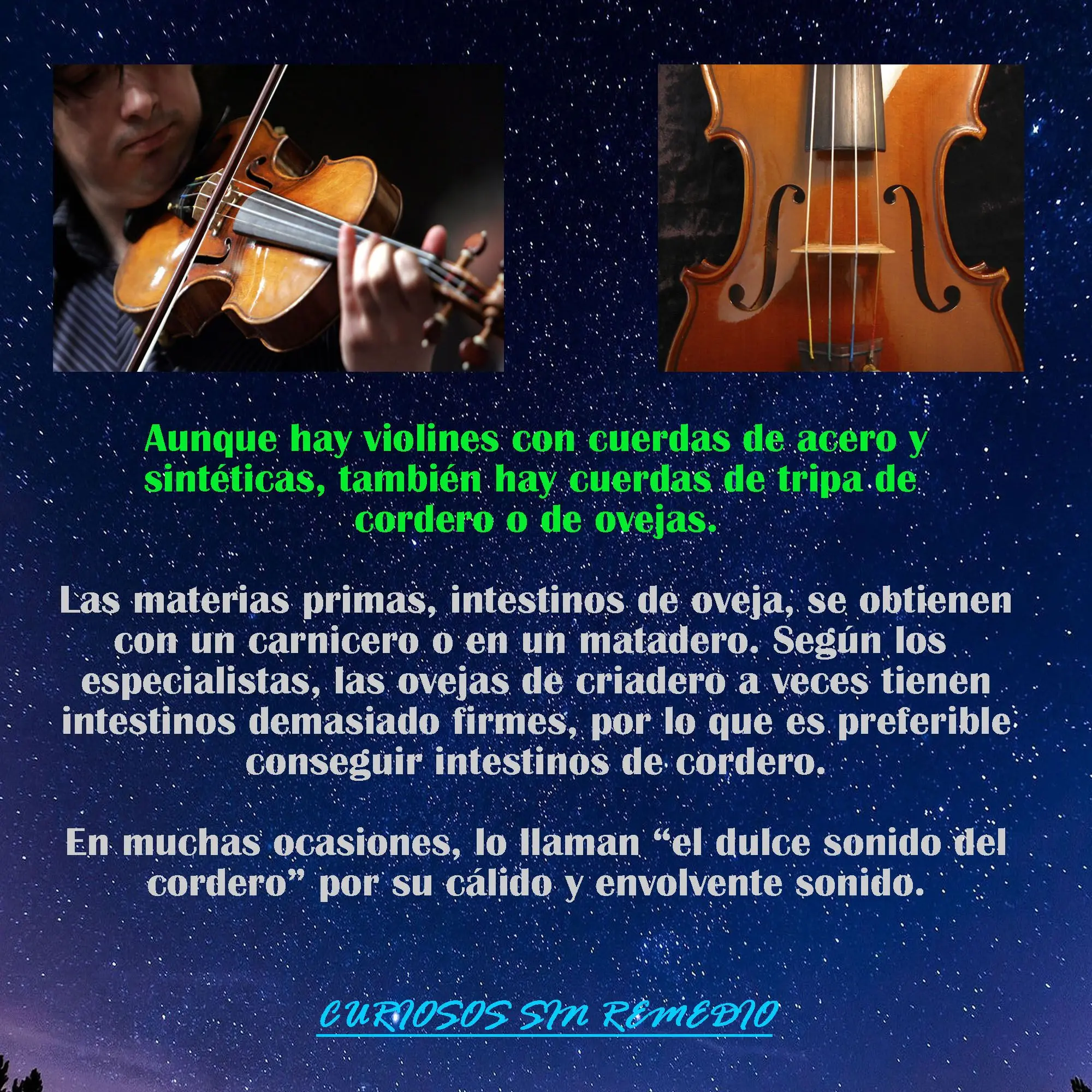 Qué es el violín en el matadero: una mirada al contexto histórico y político - Cómo se representa a los federales en el matadero que es el violin en el matadero - Cómo se representa a los federales en el matadero