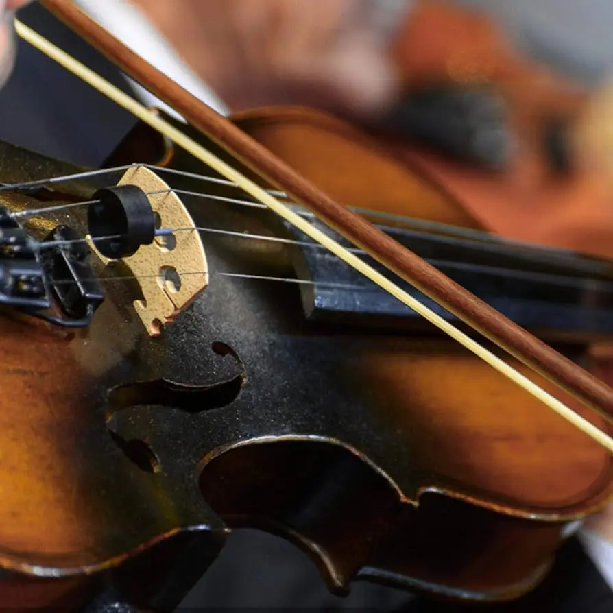 cuerdas violin limpieza - Con qué frecuencia debo limpiar las cuerdas de mi violín