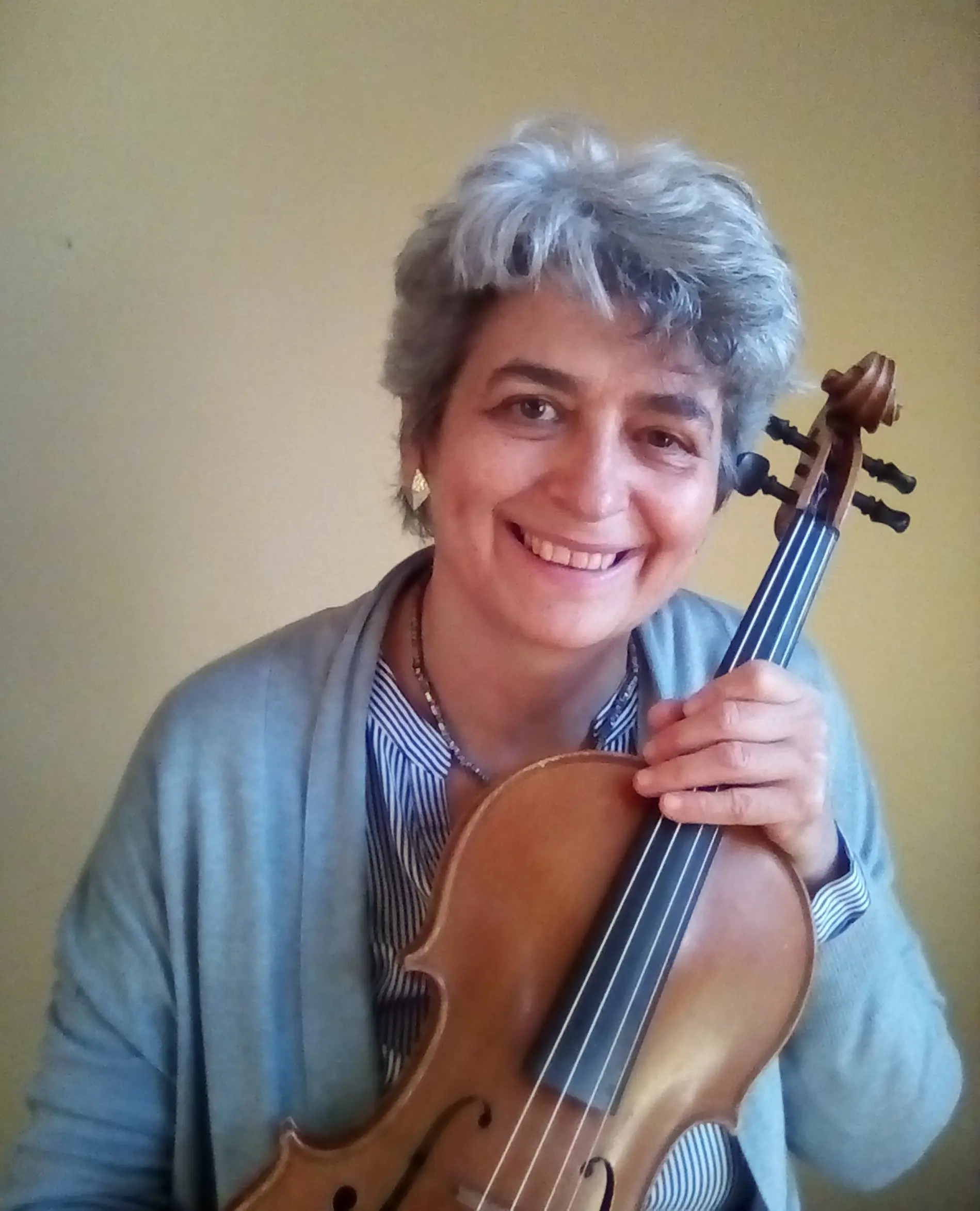 Articolazione Tenuto Violino - Cosa significa il trattino sopra le note articolazione tenuto violino - Cosa significa il trattino sopra le note