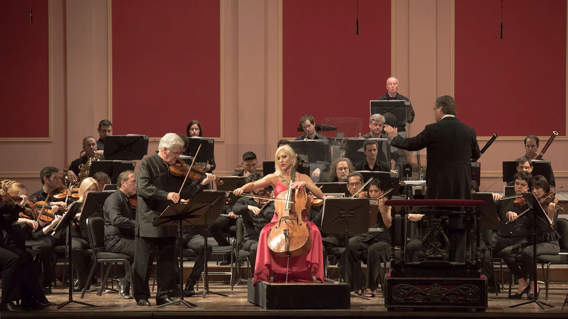 concursos teatro colon violin filarmonica - Cuál es la acustica del Teatro Colón