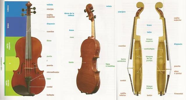 cual es el material excitante del violin en un cuadro - Cuáles son los objetos que producen sonidos