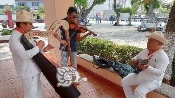 arpa y violin veracruz - Cuáles son los ritmos de la música tradicional veracruzana