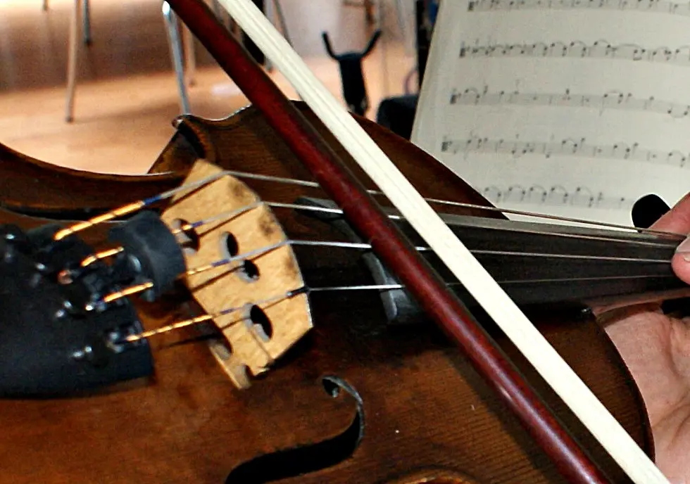 legno violino - Cuándo se utilizó por primera vez Col Legno
