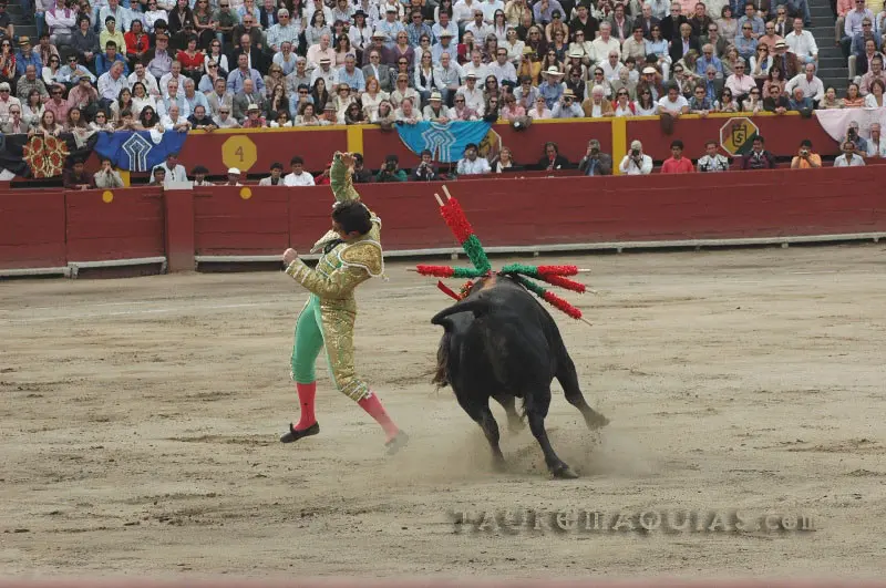 banderillas al violin de toro - Cuántas banderillas se le ponen al toro