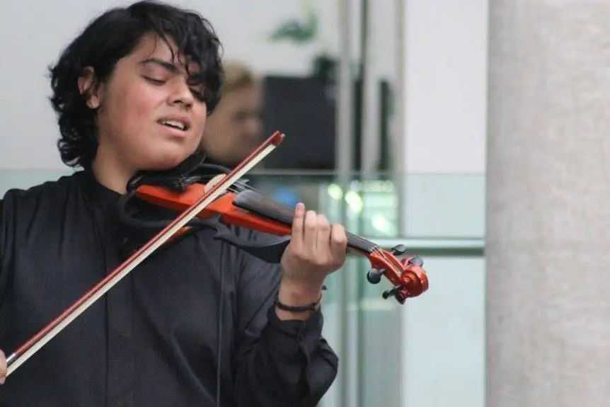 precio violinista para bodas - Cuánto cuesta un músico de ceremonia de boda