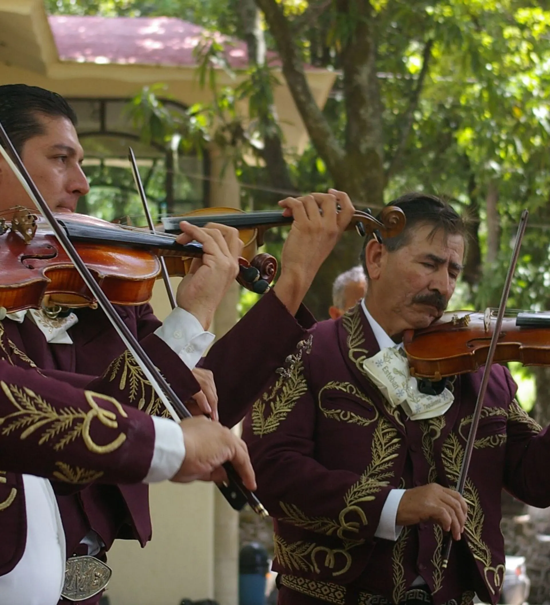 mariachis con violines en bogota - Cuánto cuesta una hora de mariachi en Bogotá