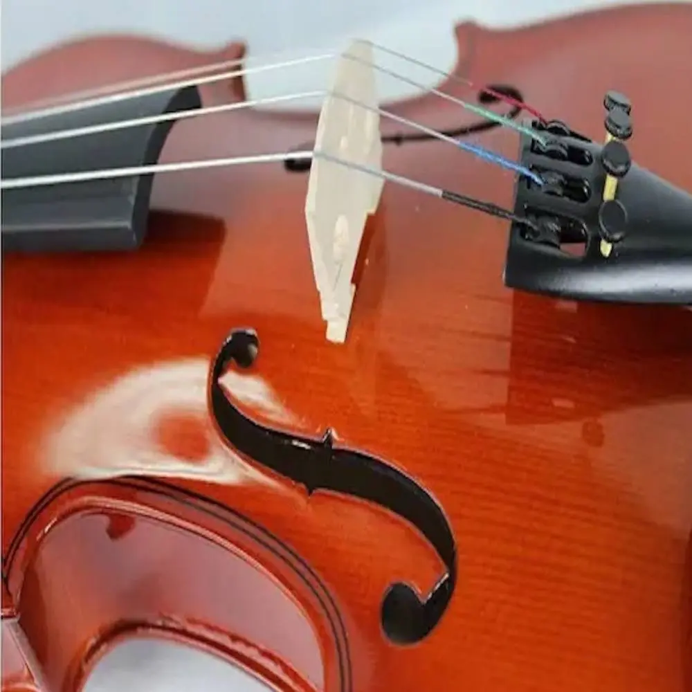 como estudiar violin en australia - Cuánto gana un productor musical en Australia