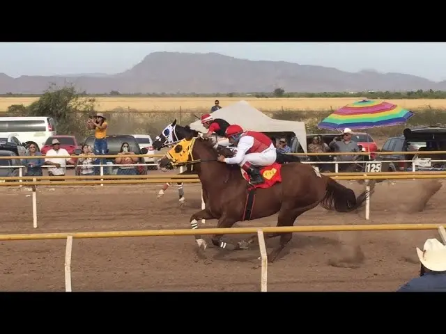 el violinista caballo de carrera san isidro casoli - Cuántos años tiene el Hipódromo de San Isidro