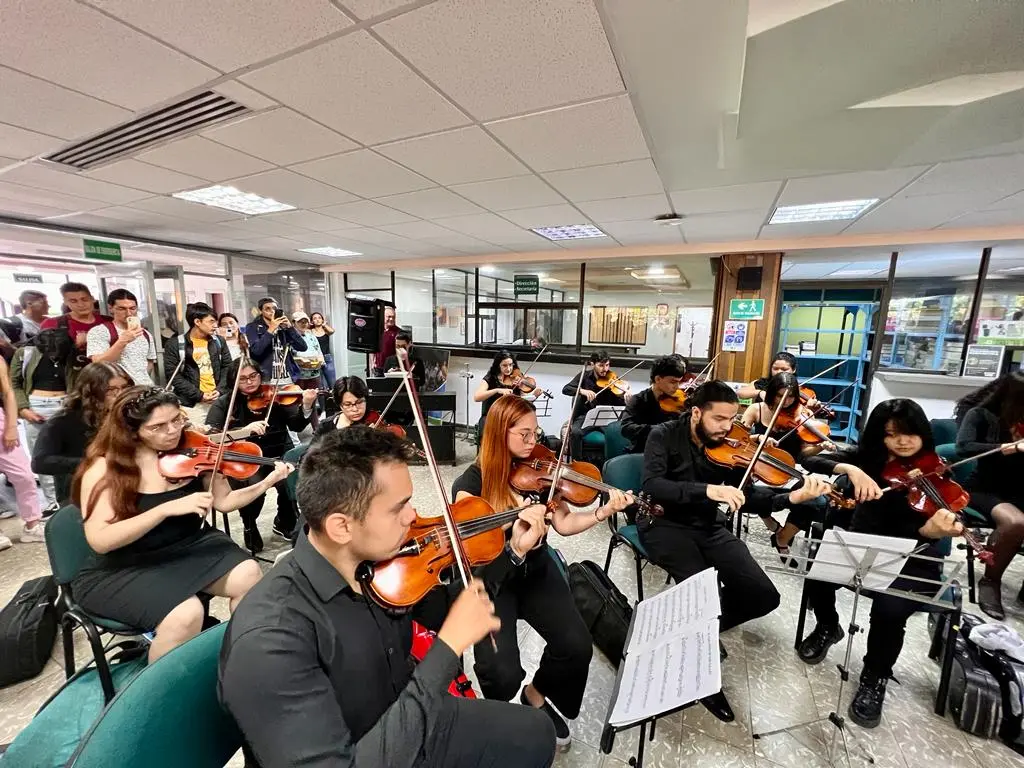 clases de violin uis - Cuántos estudiantes hay en la UIS