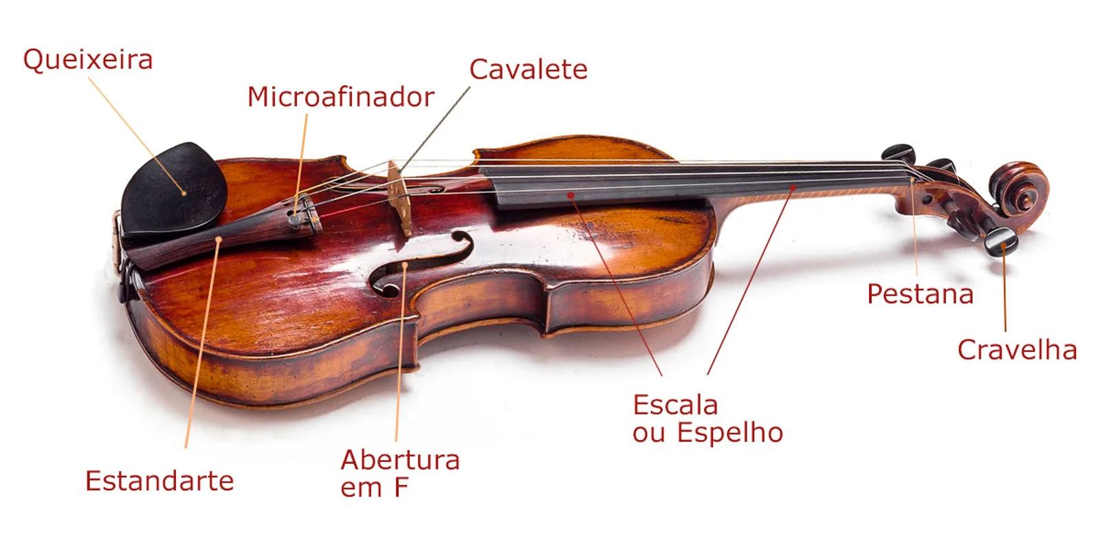 partes do arco de violino - Cuántos instrumentos de arco hay