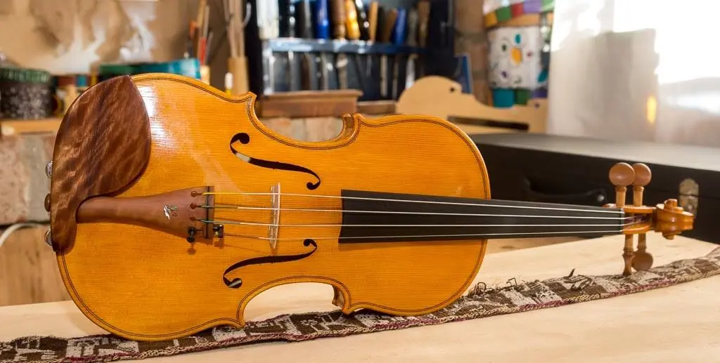 escuela lutheria cordoba violin - Dónde estudiar para luthier en Colombia