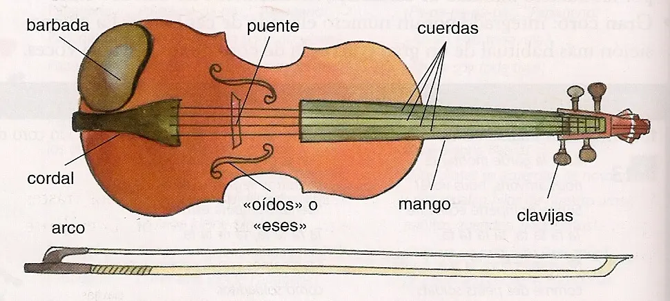 cual vibra mas rapido cuerda de contrabajo y violin - En qué se diferencia el contrabajo de los instrumentos de la familia del violín