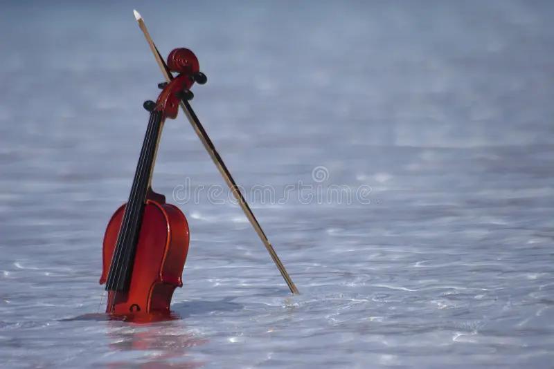 violin water - How do you dry a wet violin