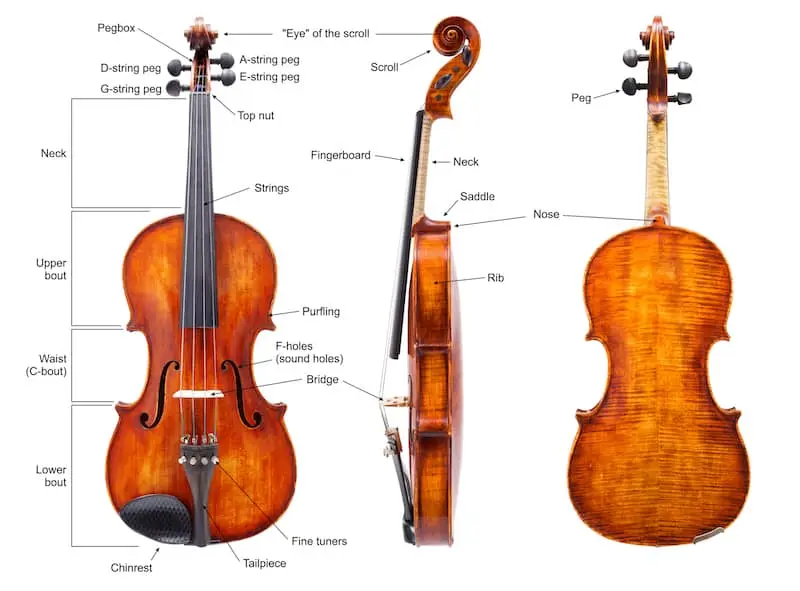 does the string of violin resonate with bow - How does a violin string vibrate