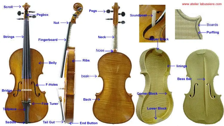 how a violin emits sound - How does violin achieve resonance