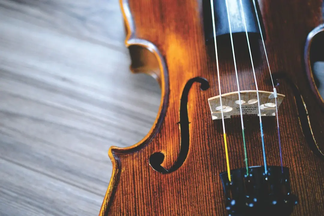 do violins - How long do violins last