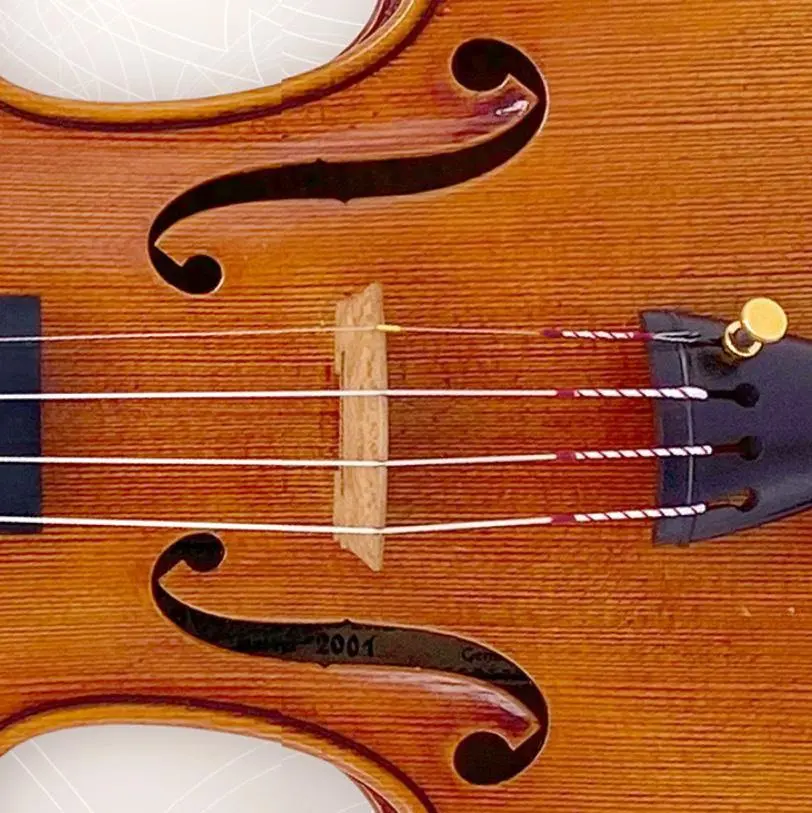 perpetual strings violin - How often do violin strings break