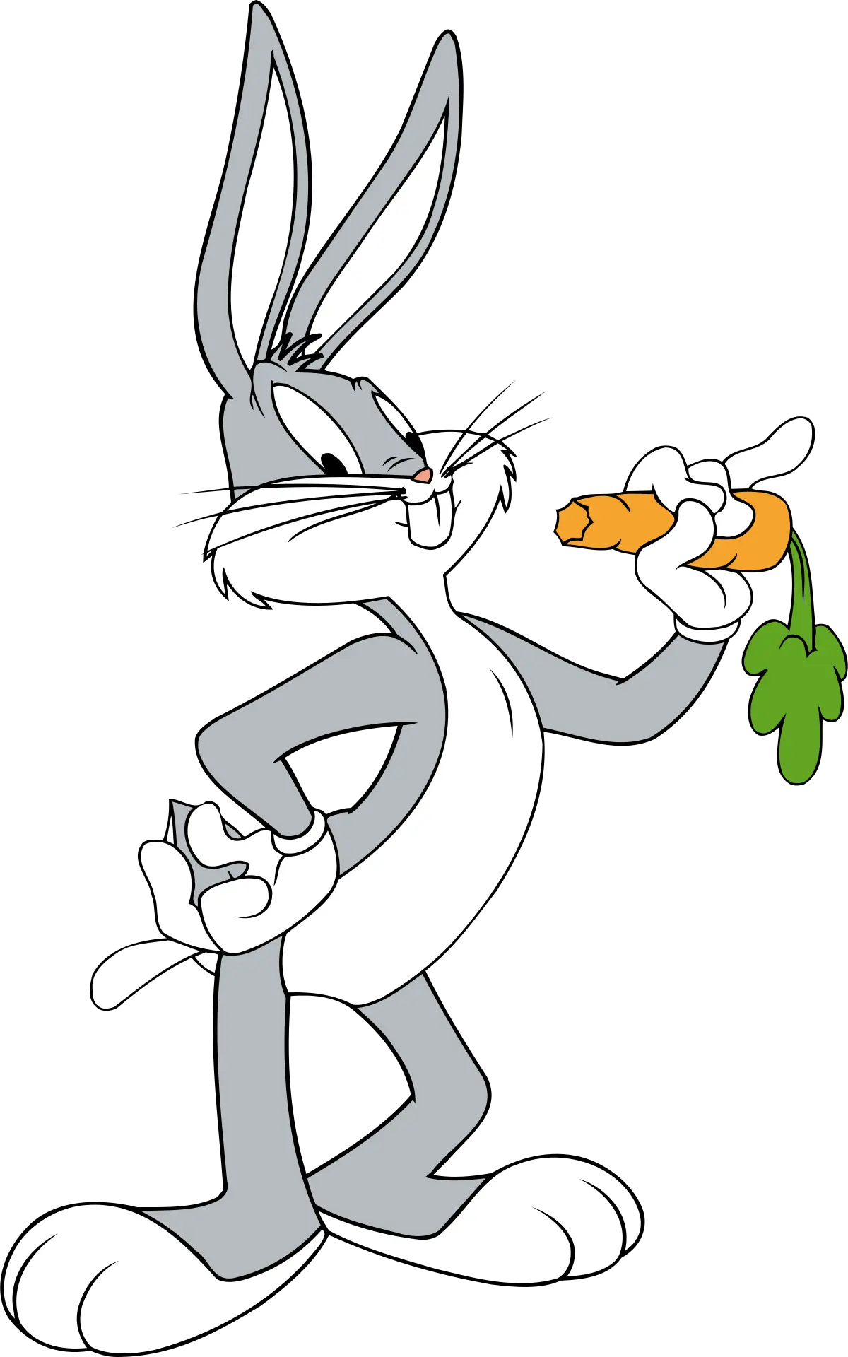 Hillbilly Hare Violin: Un clásico de Looney Tunes - Is Bugs Bunny A Boy or a girl hillbilly hare violin - Is Bugs Bunny A Boy or a girl