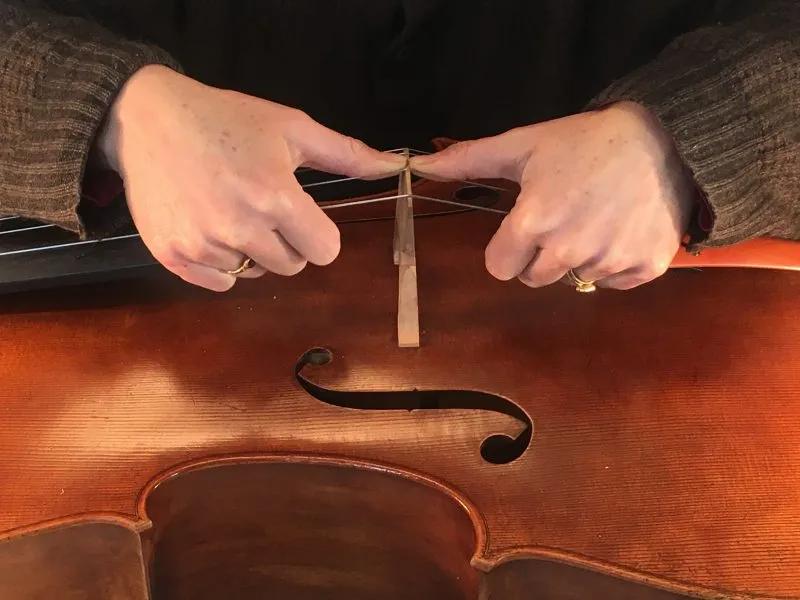 Cello Bridge vs Violin Bridge: ¿Cuál es la diferencia? - Is the bridge of a cello glued on cello bridge vs violin bridge - Is the bridge of a cello glued on