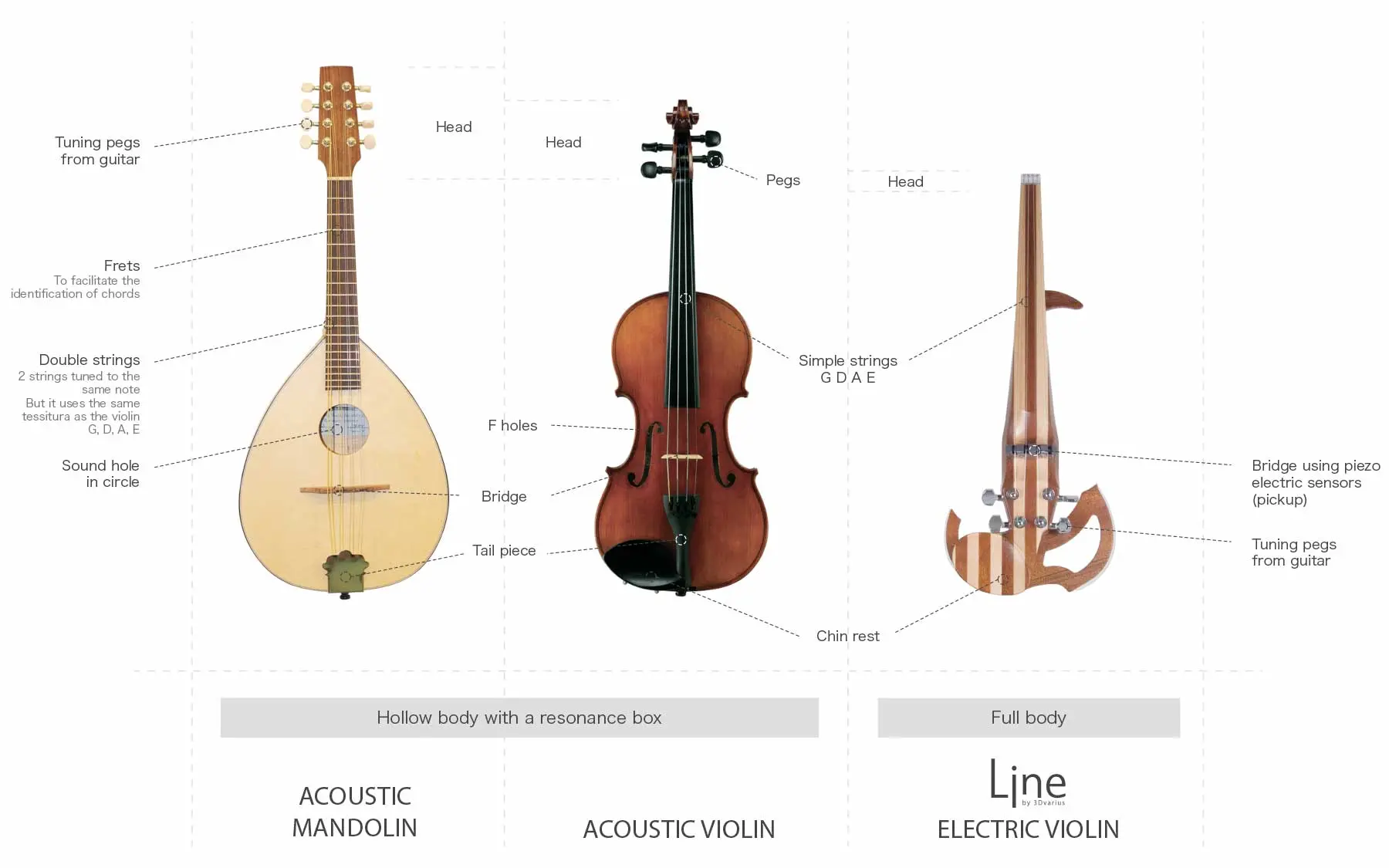 mandolin violin - Is the mandolin similar to violin