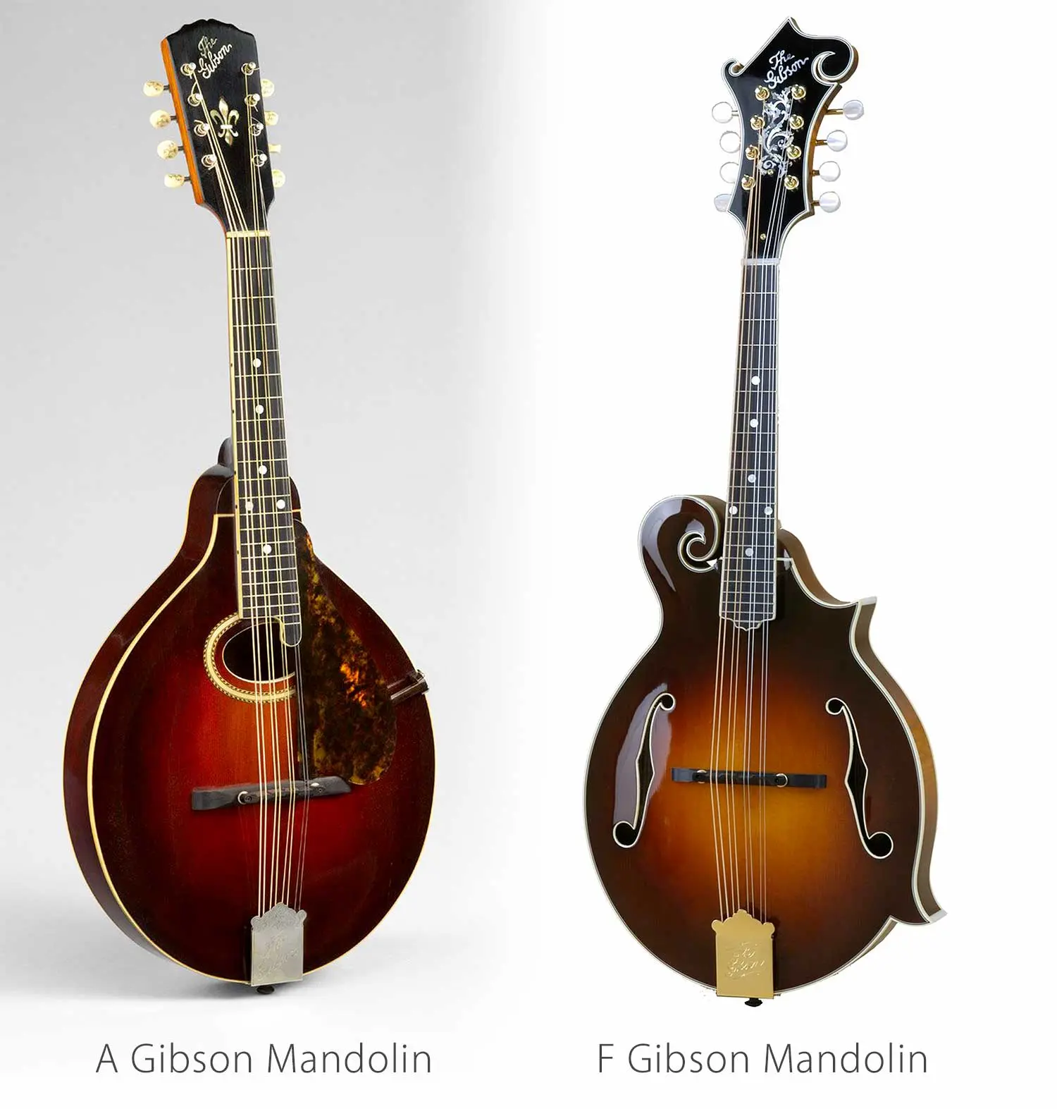 mandolin vs violin - Is the mandolin tuned the same as a violin