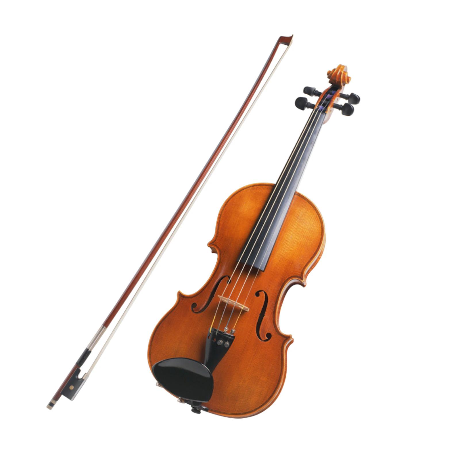 a violin is an example of a string instrument - Is the violin an example of an instrument