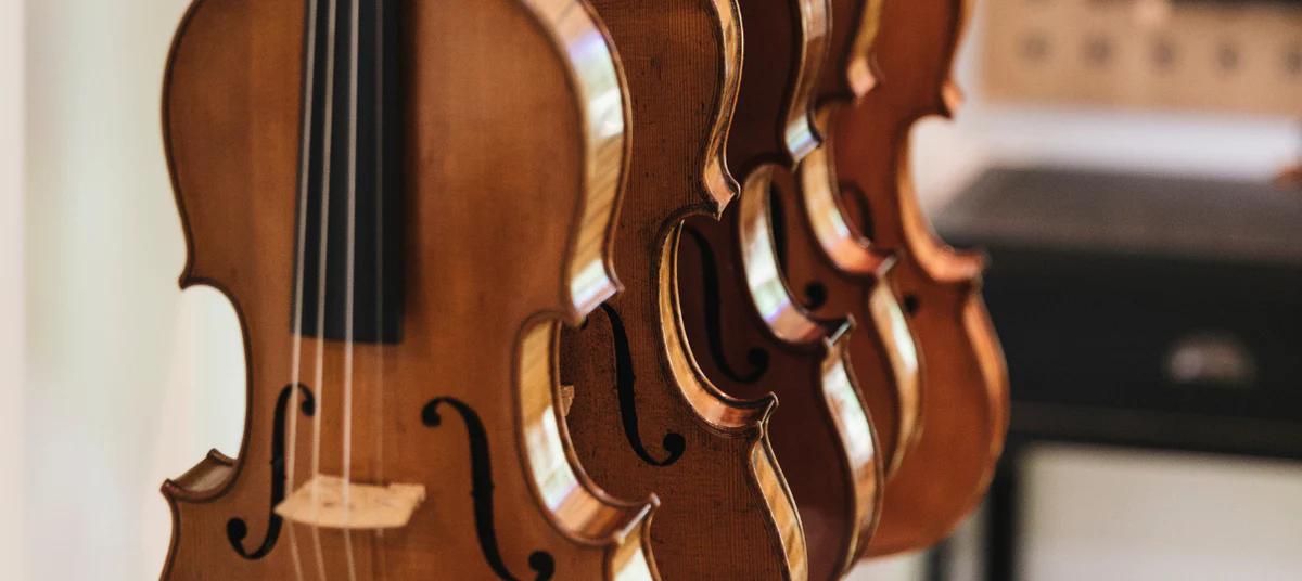 bajar la humedad en estuche de violin - La humedad es mala para el violín