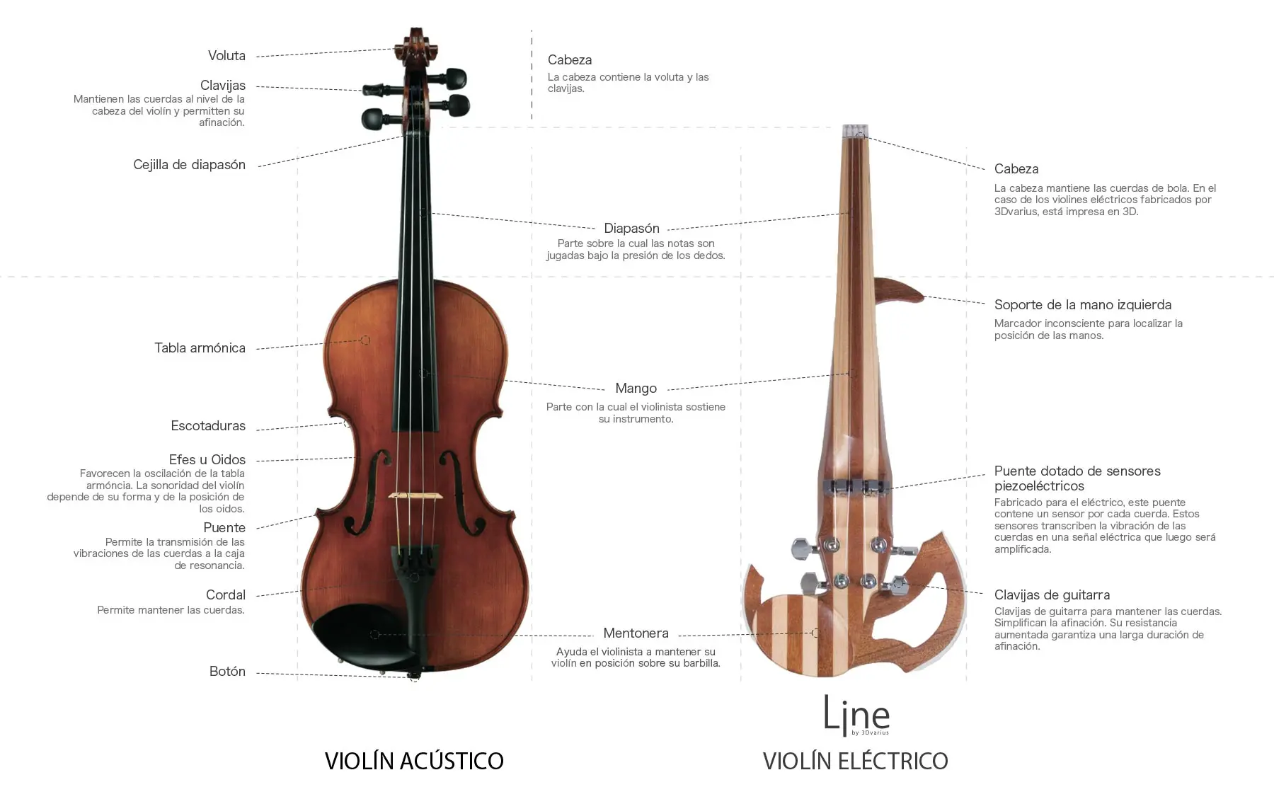 comparacion entre guitarra y violin - Por qué la guitarra suena diferente a un violín