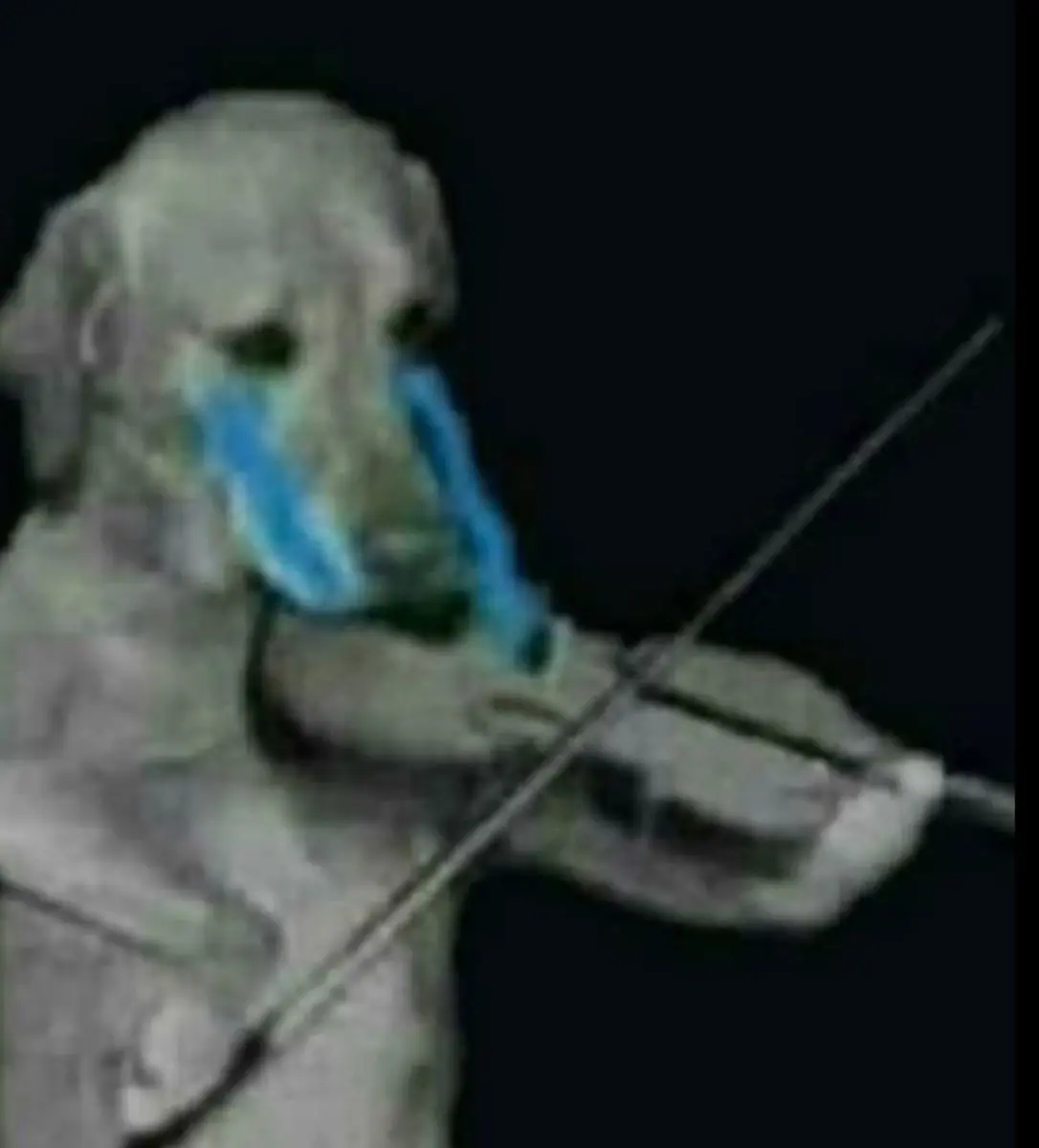 perro con violin llorando - Por qué mi perro lloriquea cuando toco instrumentos