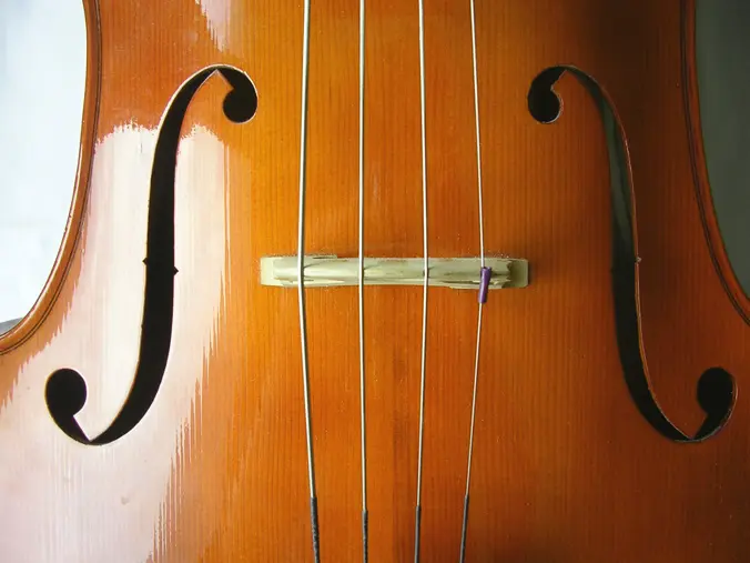 efes de violin integral - Por qué un violín tiene signo integral