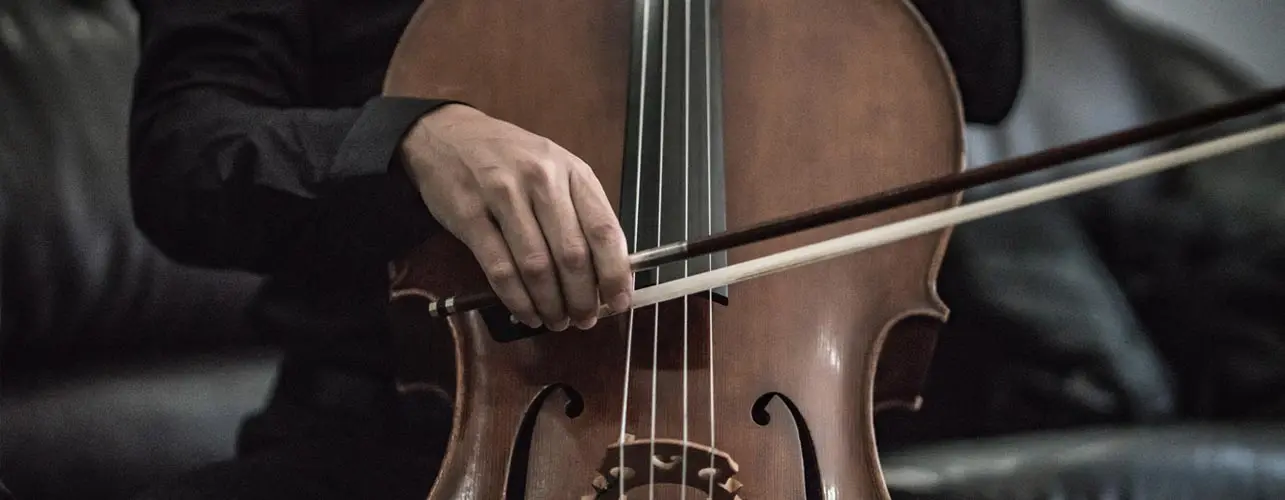 Reemplazo De Arco De Violín Todo Lo Que Necesitas Saber Vanessa Mae 0668