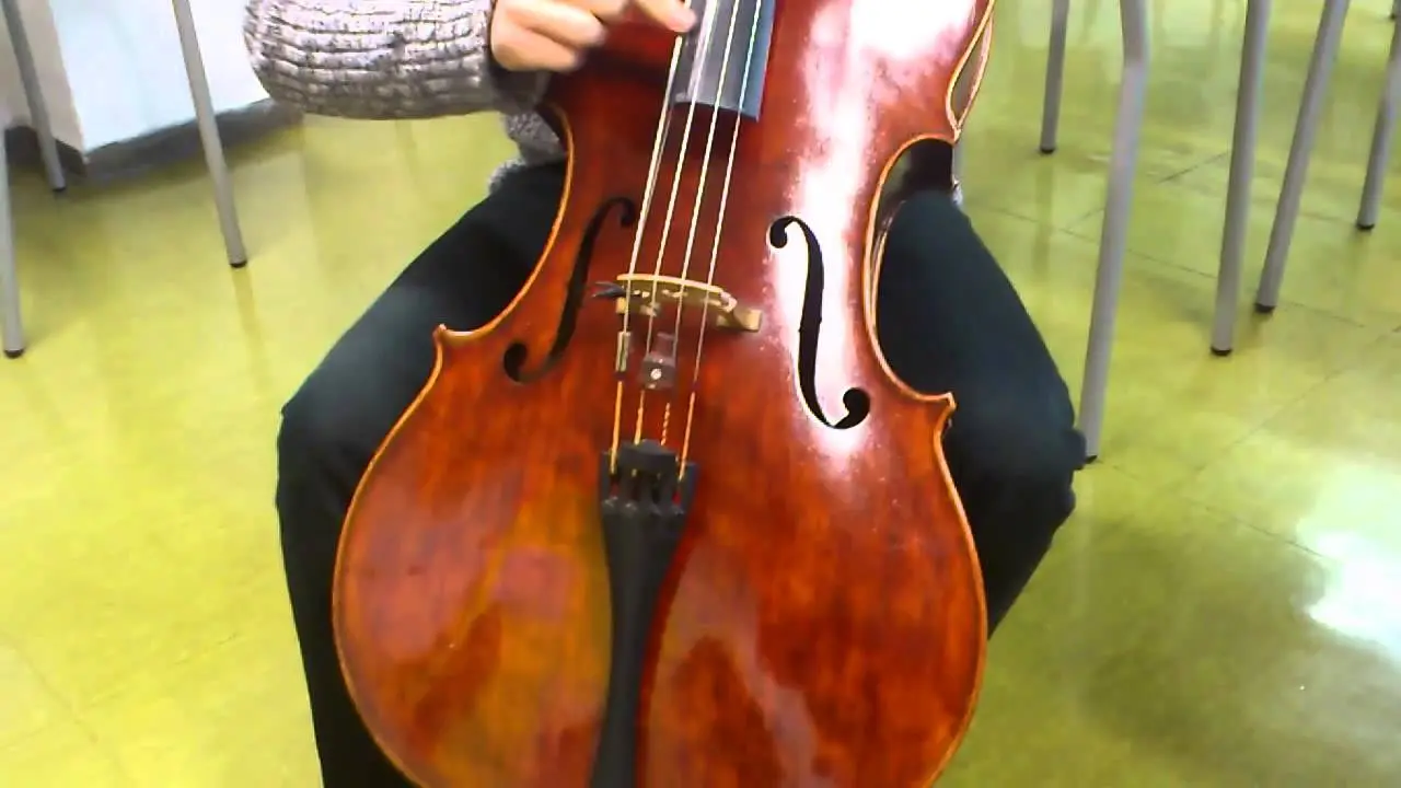 El pizo de chelo en forma de violín: una combinación perfecta de elegancia y funcionalidad - Puedes usar un violonchelo como bajo pizo de chelo en forma de violin - Puedes usar un violonchelo como bajo