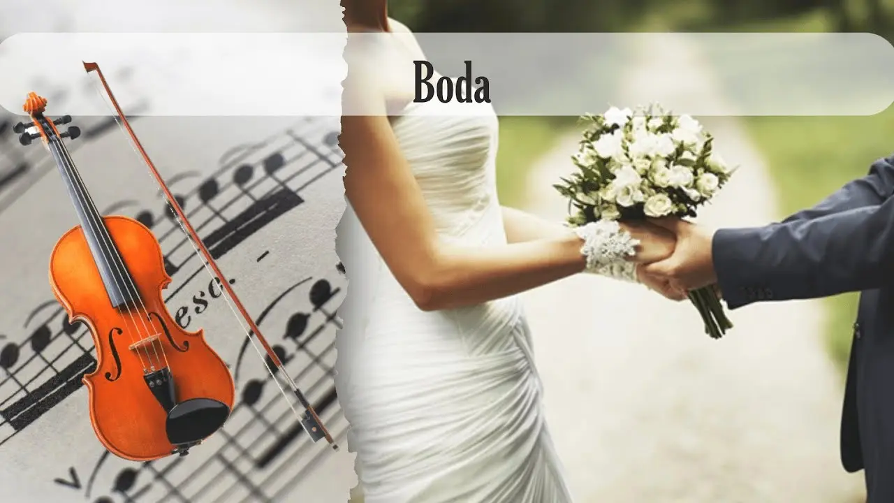 Canciones para tocar en una boda con violín - Qué canciones se pone en una boda cam iones para tocar en una boda con violin - Qué canciones se pone en una boda