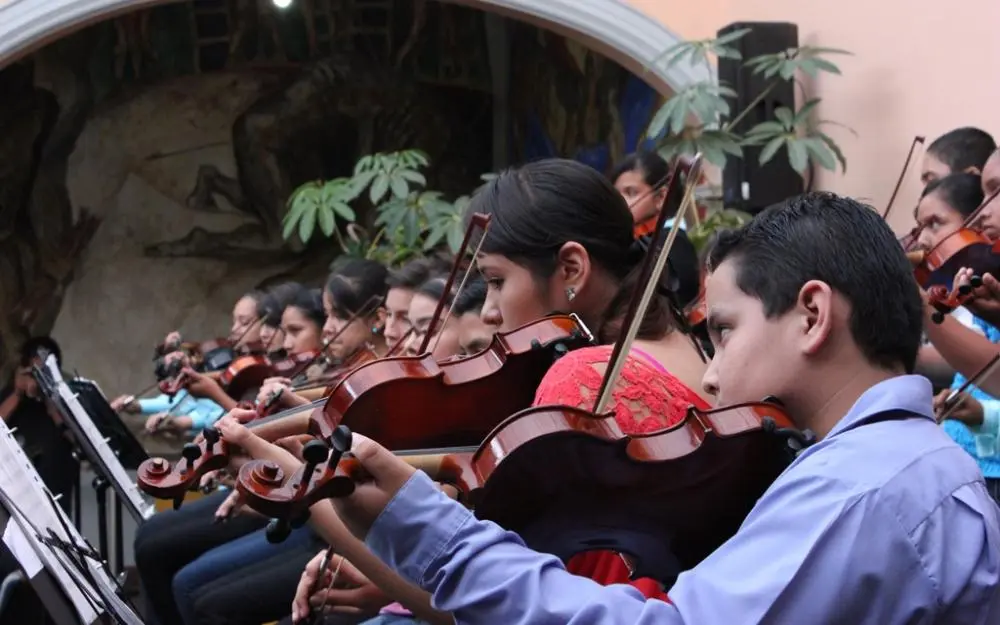 cursos de violin en la universidad de guadalajara vallarta - Qué carreras tiene la UDG en Puerto Vallarta