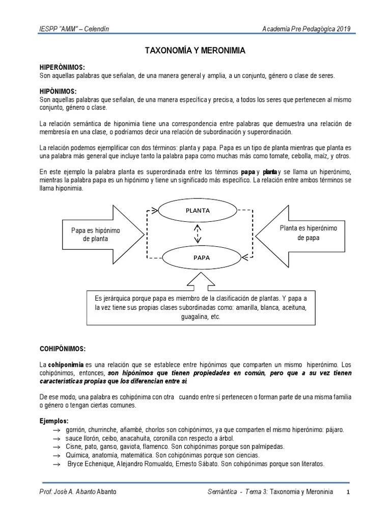 cohiponimos de violin - Qué es el cohipónimo