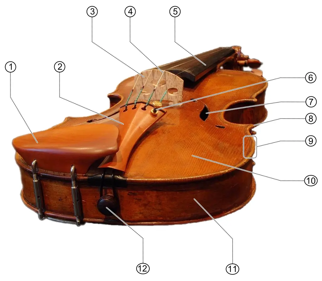 boton engancha cordal de violin - Qué es el cordal de un piano