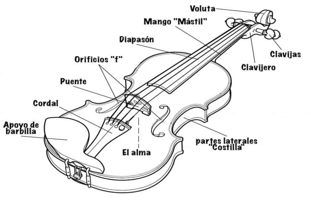 partes del violin y sus funciones conservatorio nacional de perú - Qué es un conservatorio y cómo funciona