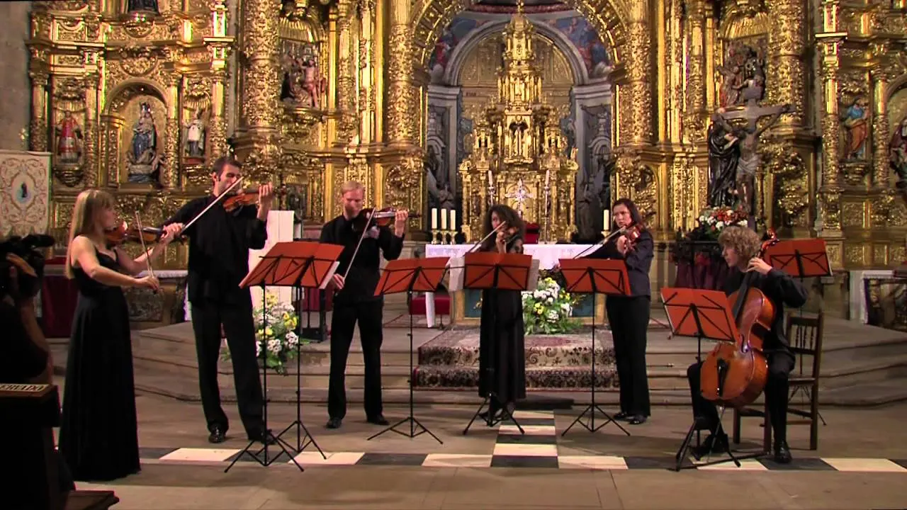 grupo de camara de violines - Qué es una orquesta de cámara