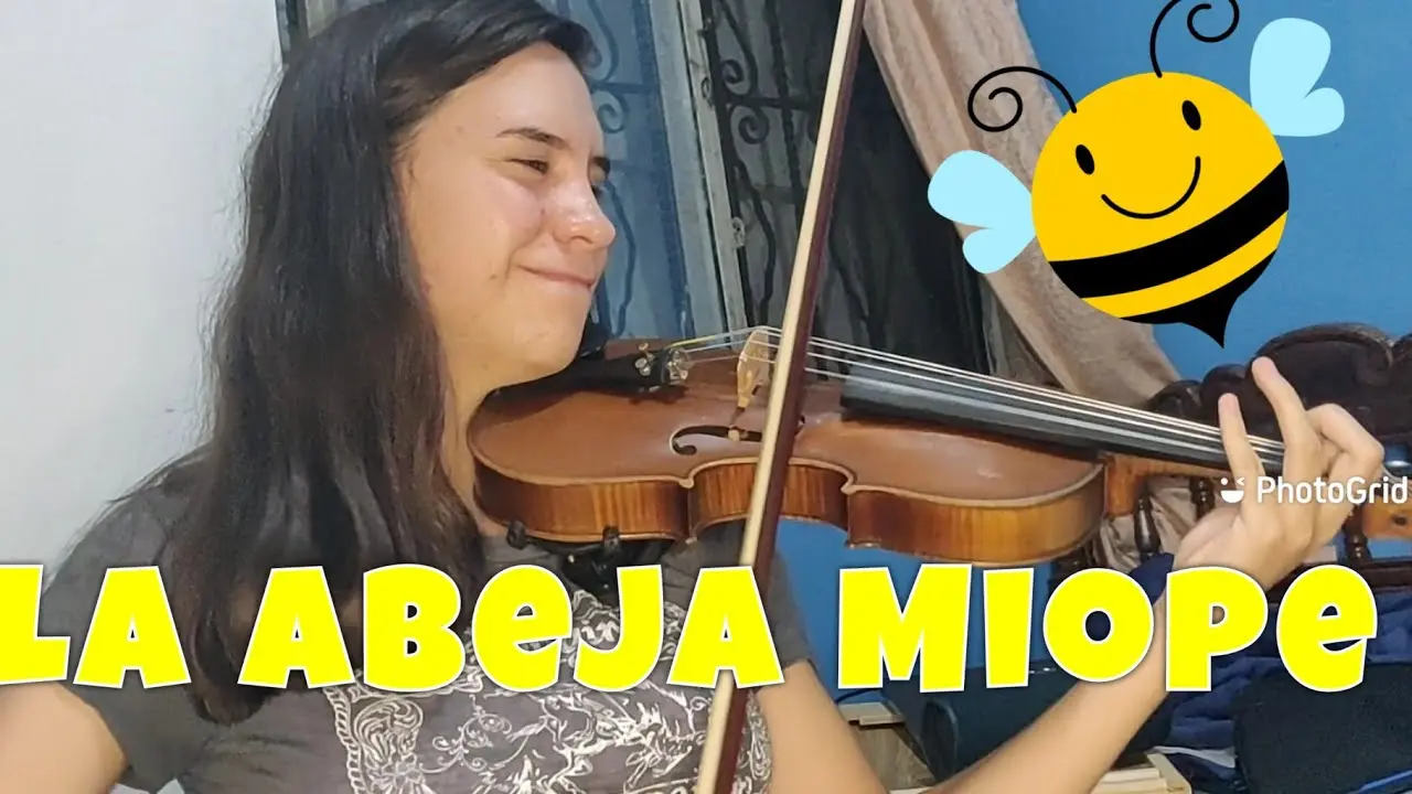 La abeja miope con violín: un fenómeno musical peculiar - Qué grupo canta la abeja miope la abeja miope con violin - Qué grupo canta la abeja miope