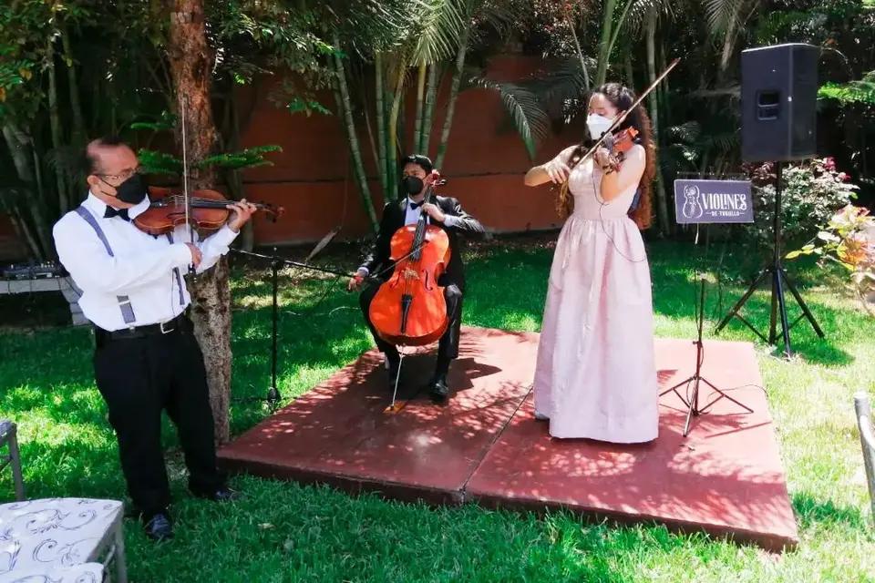 violin de segunda en trujillo - Qué hace el primer violín