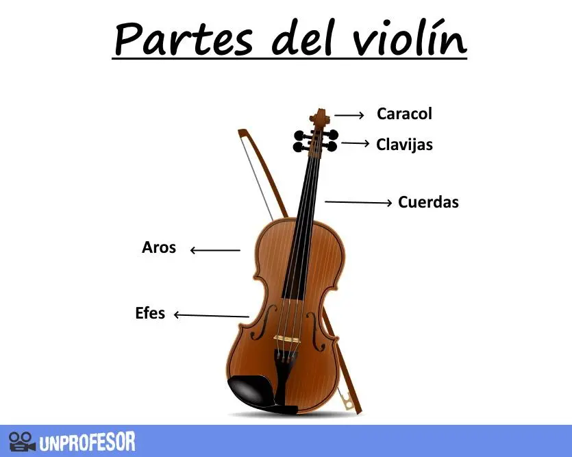 concepto de comprension del violin - Qué hace que el violín sea interesante