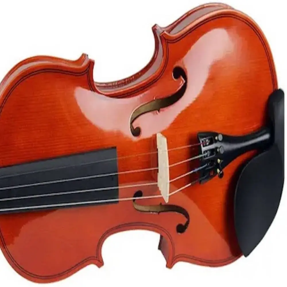 como estudiar violin en australia - Qué hay que hacer para estudiar en Australia