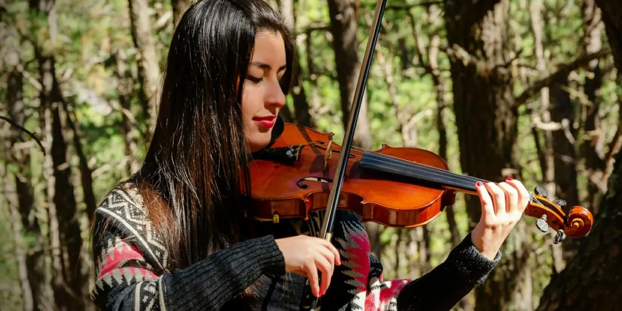 Diaguita Violin: El Sonido de una Cultura - Qué idioma hablaba el pueblo diaguita diaguita violin - Qué idioma hablaba el pueblo diaguita