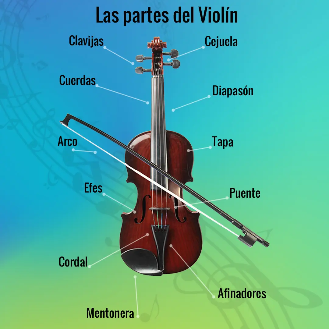 cómo montar una academia de violín - Qué ofrece una academia de música