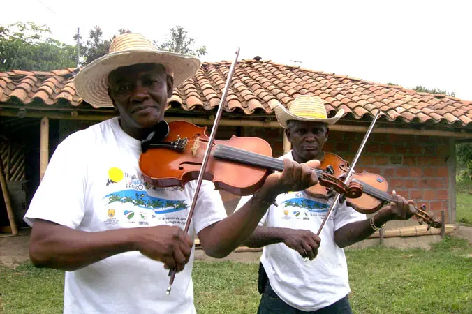 resistencia de los violines negros en colombia - Qué porcentaje de Colombia es negro