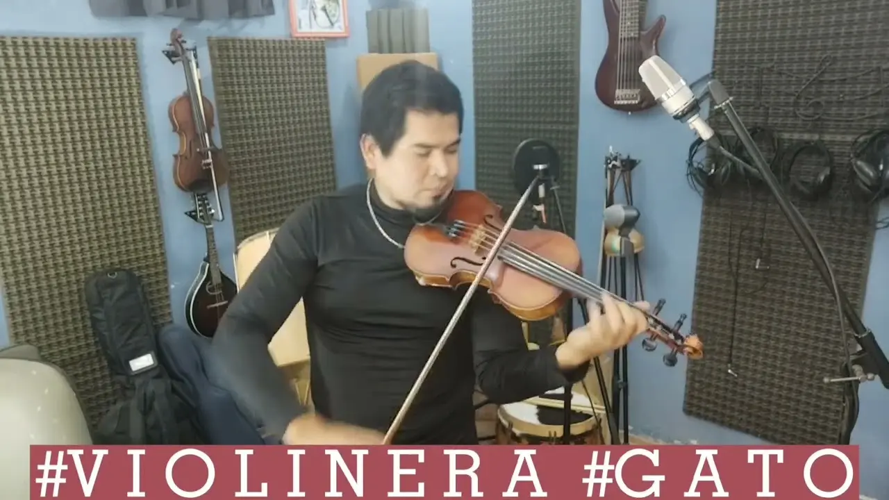 el violin como sirve en la danza del gato - Qué representa la danza el gato