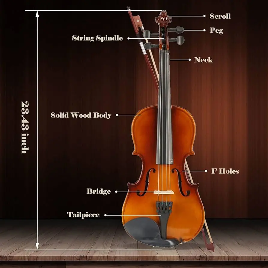 caracteristicas de un buen violin para principiantes - Que revisar en un violín
