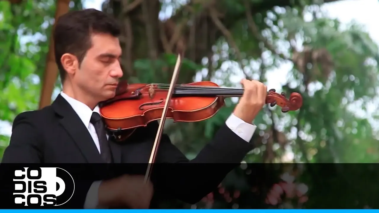 ballenato y violin - Qué significa ballenato en Colombia